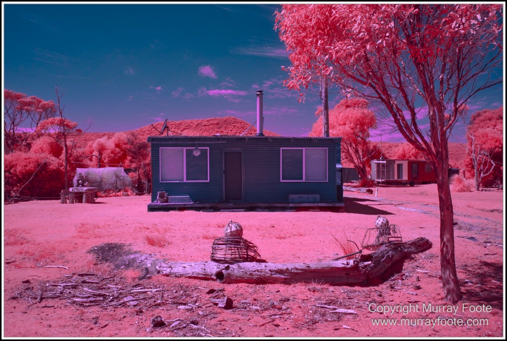 Infrared, Landscape, Nature, Photography, Pieman Heads, Pieman River, Pieman River Cruise, Reflections, Tasmania, Travel, Wilderness