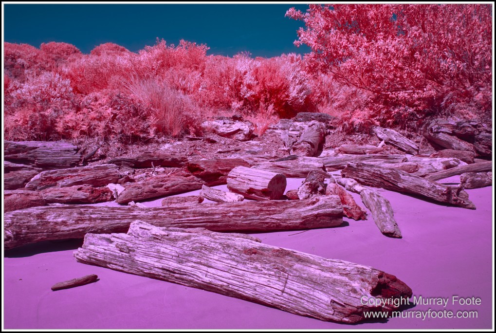 Infrared, Landscape, Nature, Photography, Pieman Heads, Pieman River, Pieman River Cruise, Reflections, Tasmania, Travel, Wilderness