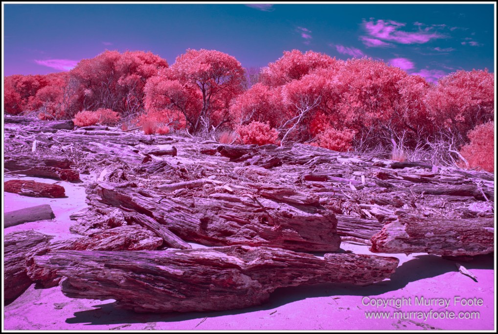 Infrared, Landscape, Nature, Photography, Pieman Heads, Pieman River, Pieman River Cruise, Reflections, Tasmania, Travel, Wilderness