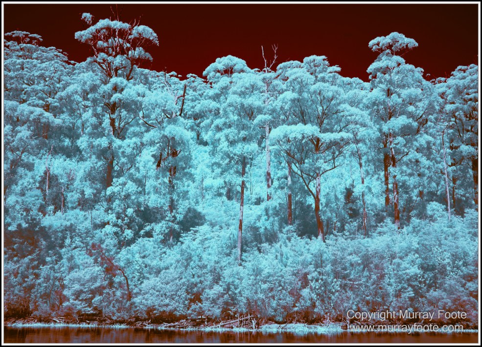 Infrared, Landscape, Nature, Photography, Pieman Heads, Pieman River, Pieman River Cruise, Reflections, Tasmania, Travel, Wilderness