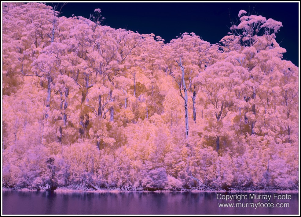 Infrared, Landscape, Nature, Photography, Pieman Heads, Pieman River, Pieman River Cruise, Reflections, Tasmania, Travel, Wilderness