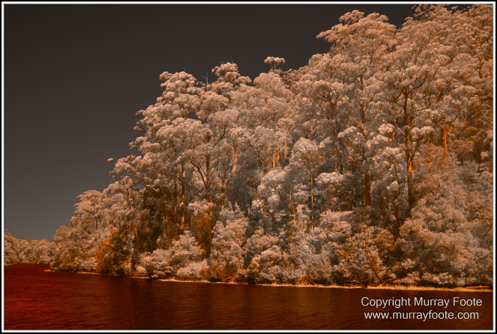 Infrared, Landscape, Nature, Photography, Pieman Heads, Pieman River, Pieman River Cruise, Reflections, Tasmania, Travel, Wilderness