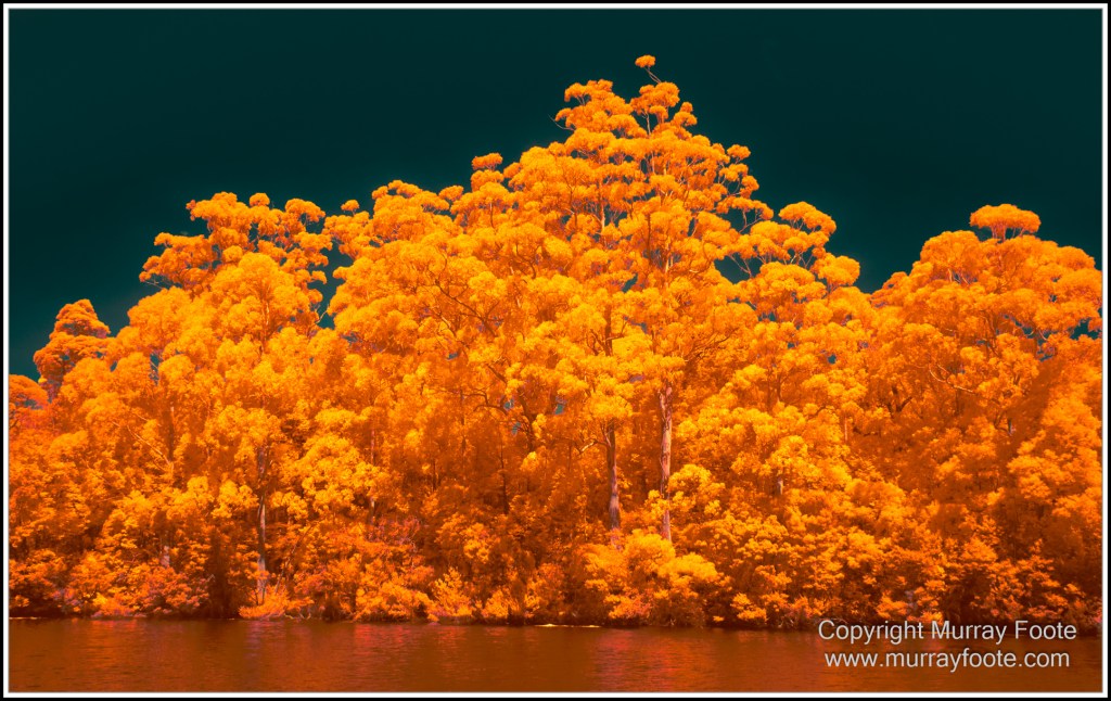 Infrared, Landscape, Nature, Photography, Pieman Heads, Pieman River, Pieman River Cruise, Reflections, Tasmania, Travel, Wilderness
