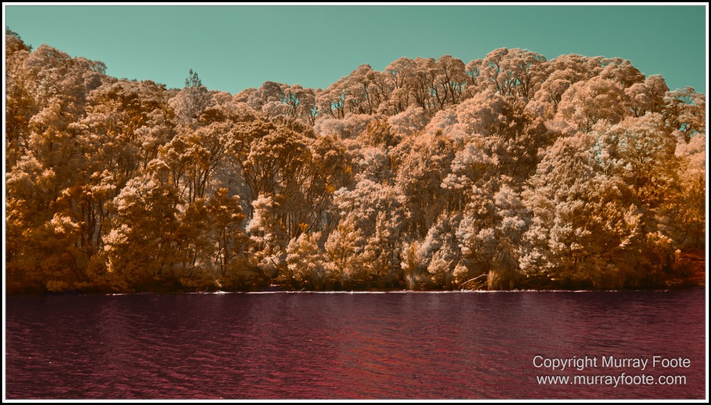Infrared, Landscape, Nature, Photography, Pieman Heads, Pieman River, Pieman River Cruise, Reflections, Tasmania, Travel, Wilderness
