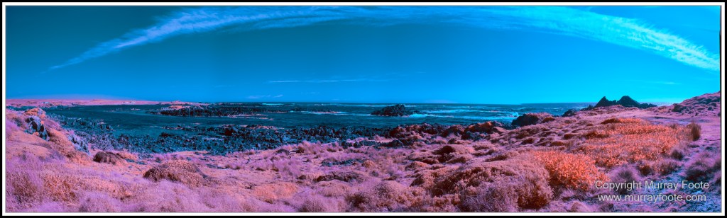 Infrared, Landscape, Nature, Photography, Pieman Heads, Pieman River, Pieman River Cruise, Reflections, Tasmania, Travel, Wilderness