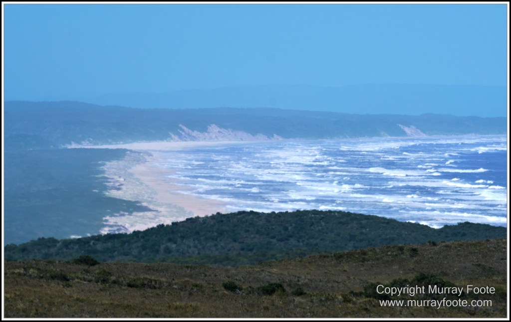 Corinna, Granville Harbour, Henty Dunes, Landscape, Nature, Photography, Sweetwater Cruise, Tasmania, Travel, Trial Harbour, Waterfall, Wilderness