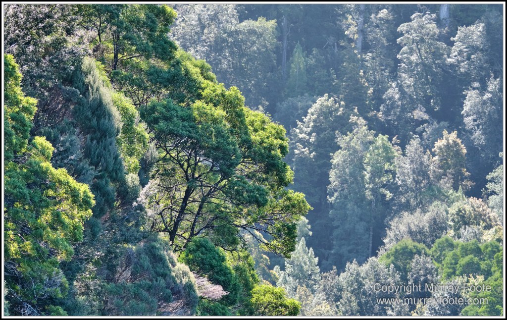 Corinna, Granville Harbour, Henty Dunes, Landscape, Nature, Photography, Sweetwater Cruise, Tasmania, Travel, Trial Harbour, Waterfall, Wilderness