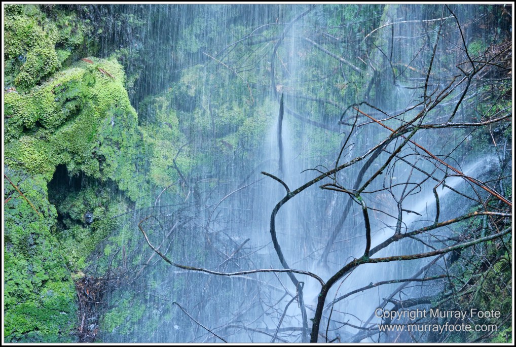Corinna, Granville Harbour, Henty Dunes, Landscape, Nature, Photography, Sweetwater Cruise, Tasmania, Travel, Trial Harbour, Waterfall, Wilderness