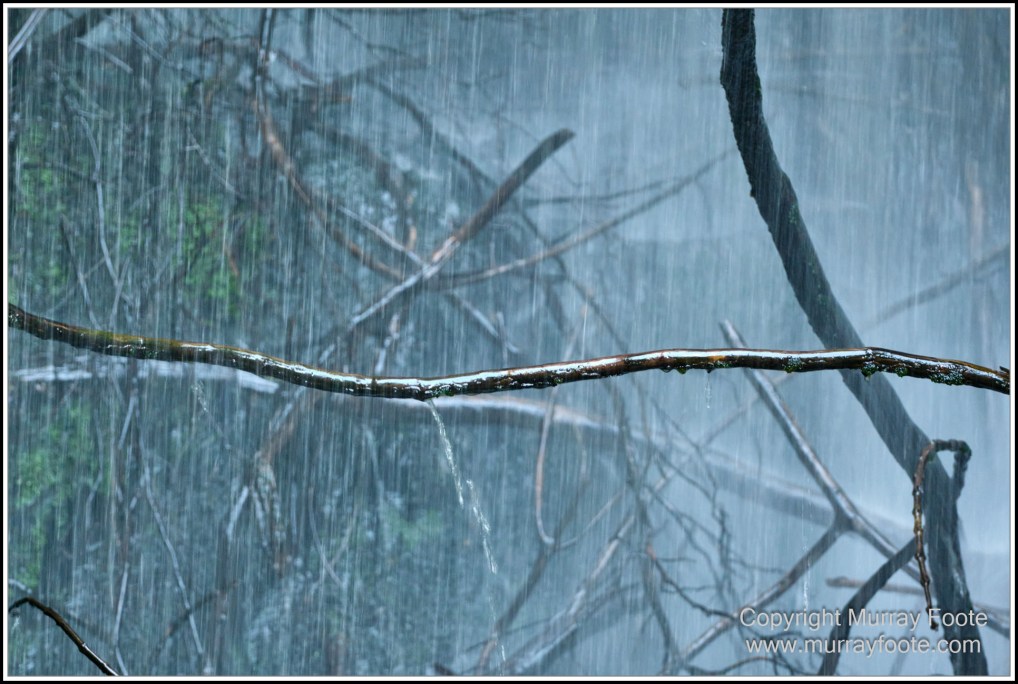 Corinna, Granville Harbour, Henty Dunes, Landscape, Nature, Photography, Sweetwater Cruise, Tasmania, Travel, Trial Harbour, Waterfall, Wilderness