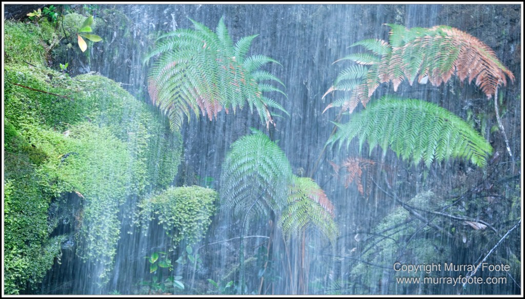 Corinna, Granville Harbour, Henty Dunes, Landscape, Nature, Photography, Sweetwater Cruise, Tasmania, Travel, Trial Harbour, Waterfall, Wilderness