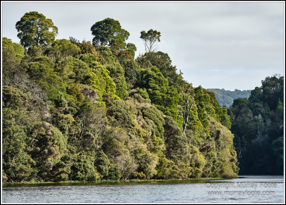 Corinna, Granville Harbour, Henty Dunes, Landscape, Nature, Photography, Sweetwater Cruise, Tasmania, Travel, Trial Harbour, Waterfall, Wilderness