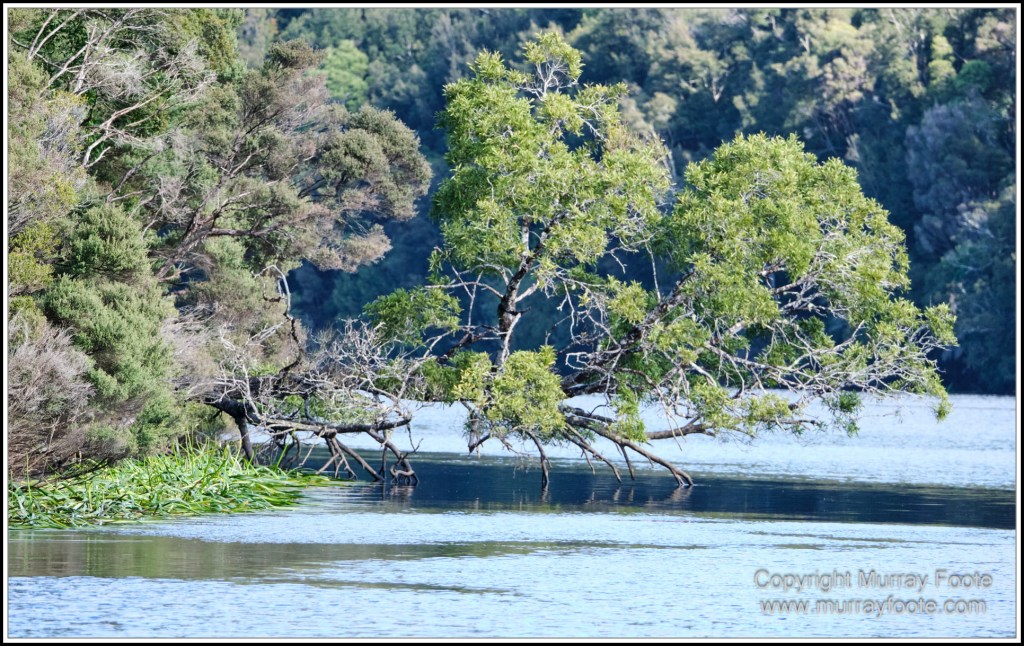 Corinna, Granville Harbour, Henty Dunes, Landscape, Nature, Photography, Sweetwater Cruise, Tasmania, Travel, Trial Harbour, Waterfall, Wilderness