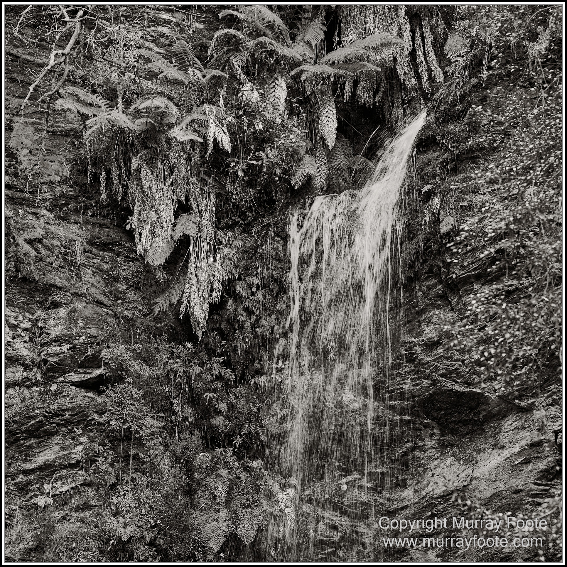 Black and White, Eagles, Infrared, Landscape, Monochrome, Nature, Photography, Pieman Heads, Pieman River, Travel, Wildlife