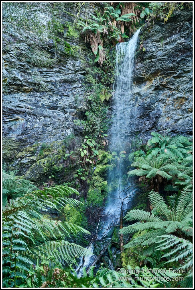 Corinna, Granville Harbour, Henty Dunes, Landscape, Nature, Photography, Sweetwater Cruise, Tasmania, Travel, Trial Harbour, Waterfall, Wilderness