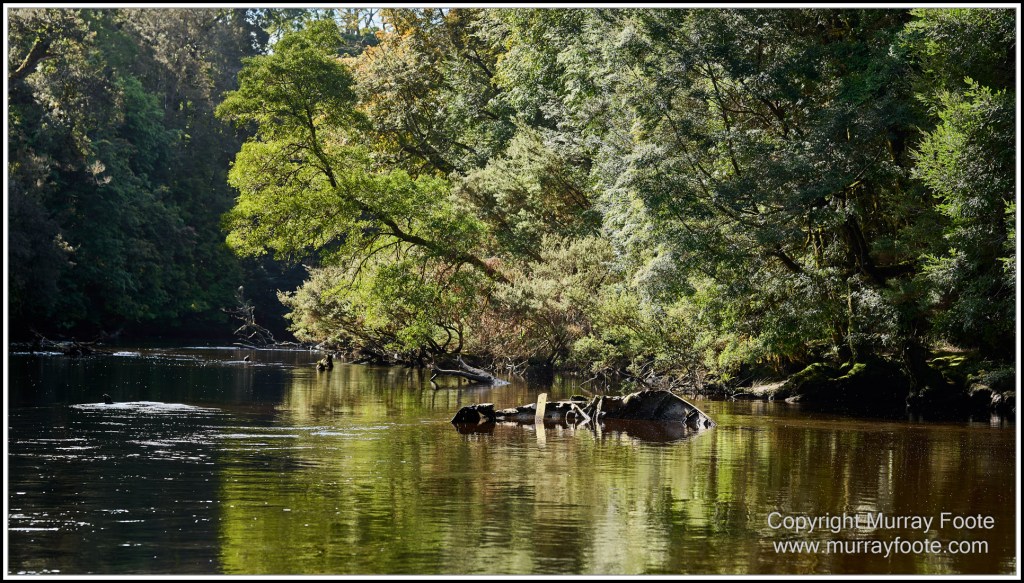 Corinna, Granville Harbour, Henty Dunes, Landscape, Nature, Photography, Sweetwater Cruise, Tasmania, Travel, Trial Harbour, Waterfall, Wilderness