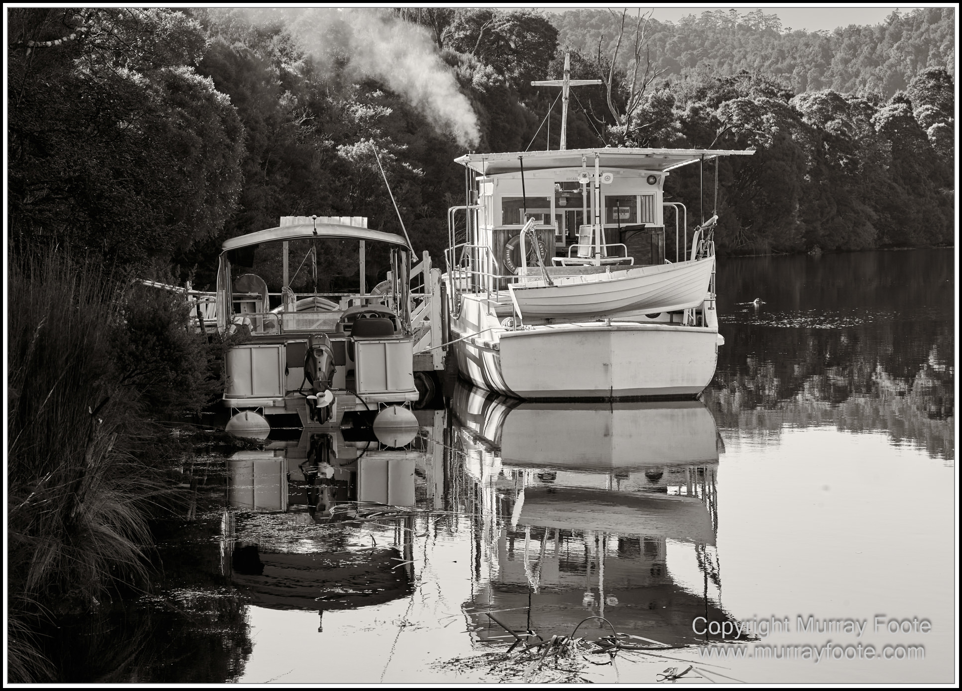Black and White, Eagles, Infrared, Landscape, Monochrome, Nature, Photography, Pieman Heads, Pieman River, Travel, Wildlife