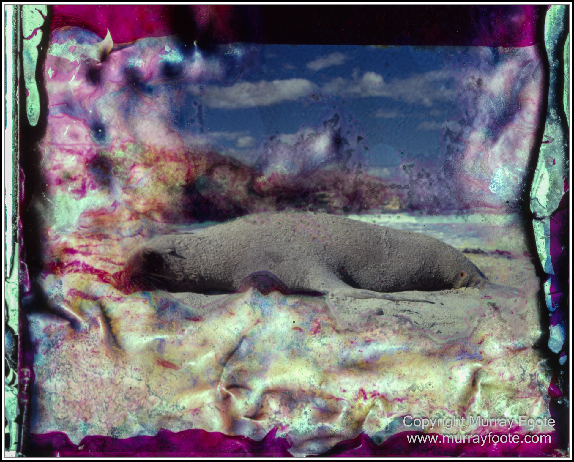 Dhiba Guuranda Innes National Park, Hattah-Kulkyne National Park, Kangaroo Island, Kangaroo Island Itinerary 2024, Landscape, Mungo, Nature, Photography, Sea Lake, seascape, Travel, Wilderness, Wildlife