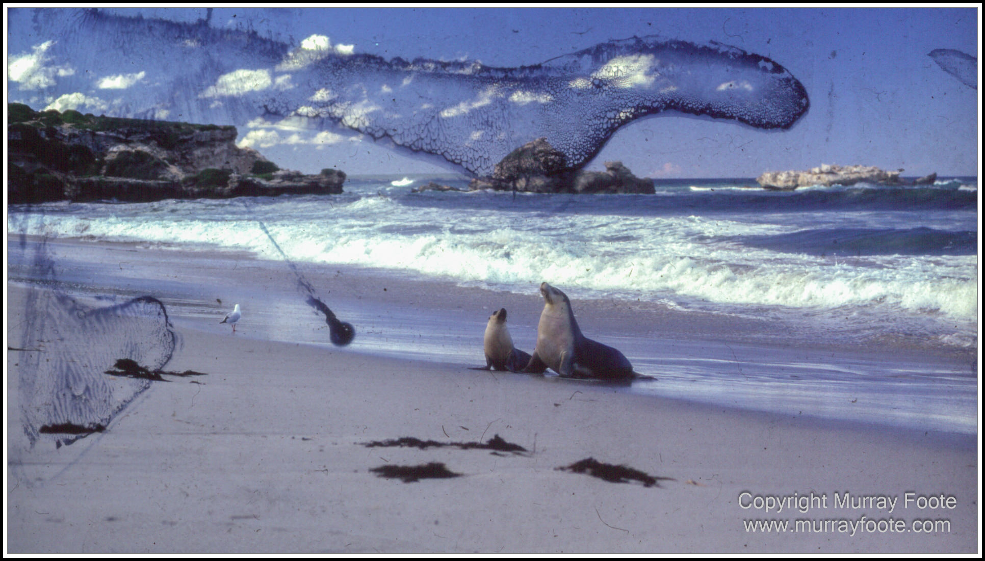 Dhiba Guuranda Innes National Park, Hattah-Kulkyne National Park, Kangaroo Island, Kangaroo Island Itinerary 2024, Landscape, Mungo, Nature, Photography, Sea Lake, seascape, Travel, Wilderness, Wildlife