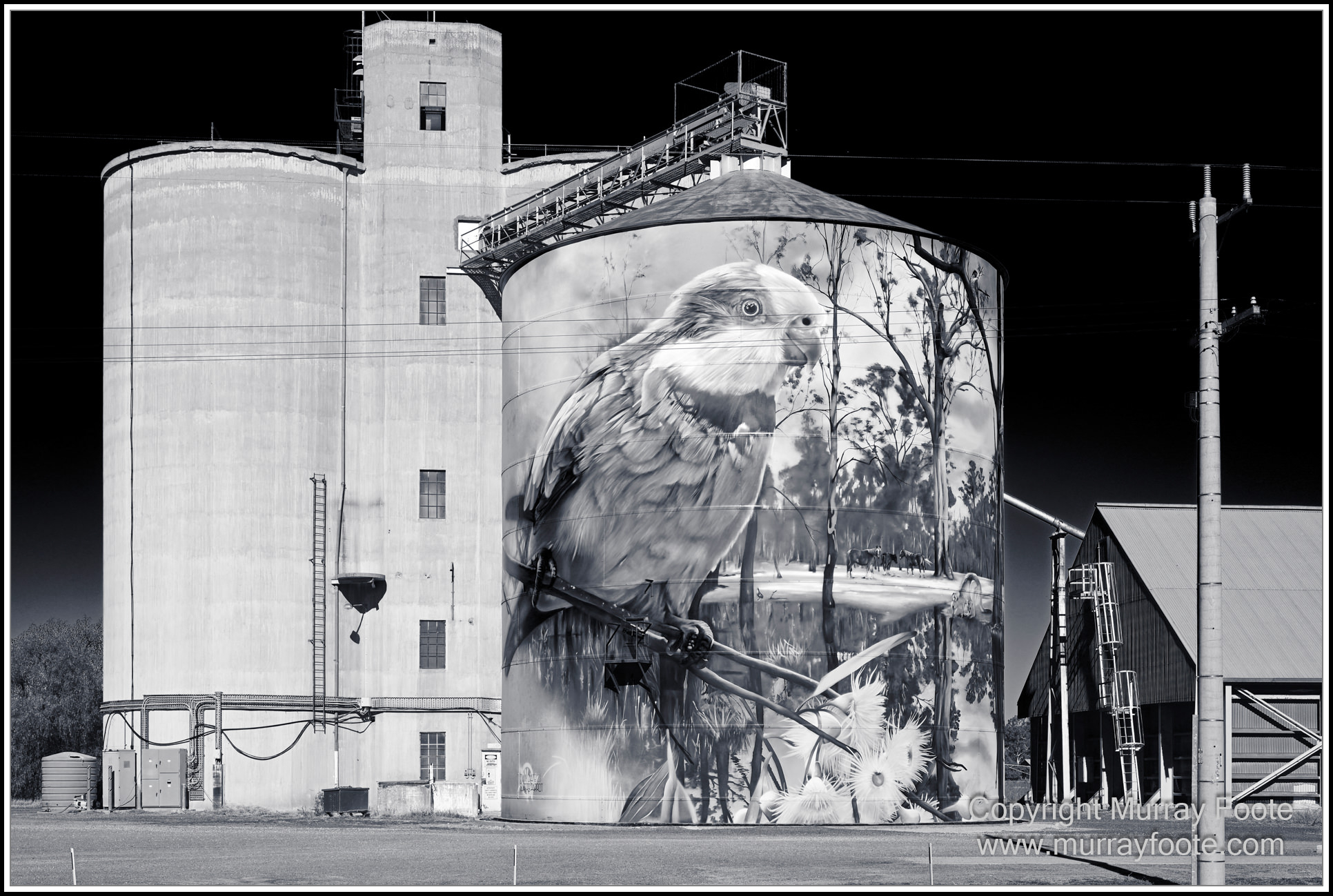 Black and White, Lake Moodemere, Lake Tyrell, Landscape, Milky Way, Monochrome, Nature, Night Photography, Photography, Sea Lake, Silo Art, South Australia, Travel, Victor Harbour, Victoria