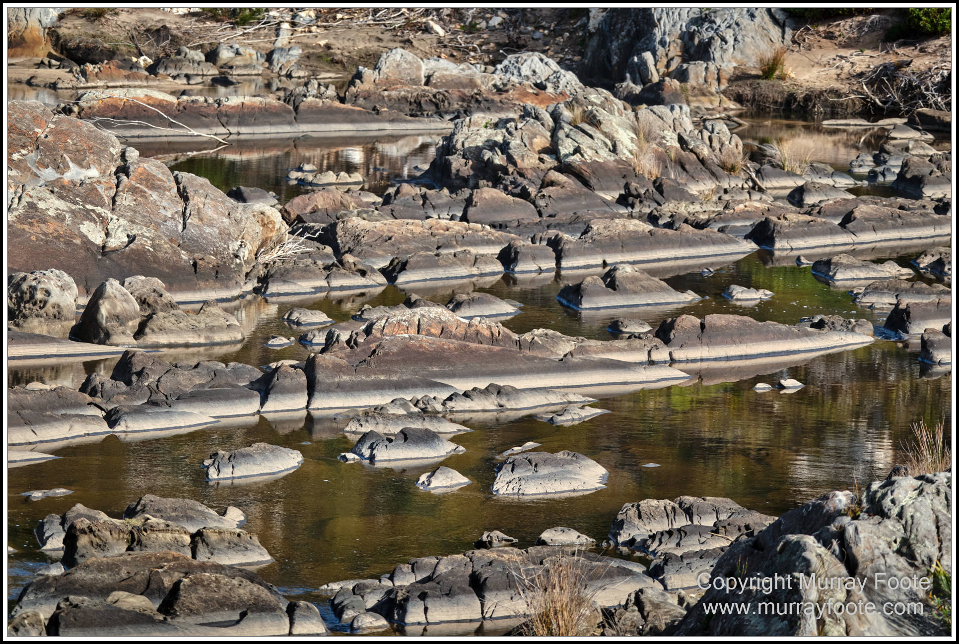 Cormorant, Eastern Great Egret, Hanson Bay, Kangaroo Island, Landscape, Nature, Photography, Rocky River, seascape, Snake Lagoon, South Australia, Travel, Wilderness, Wildlife