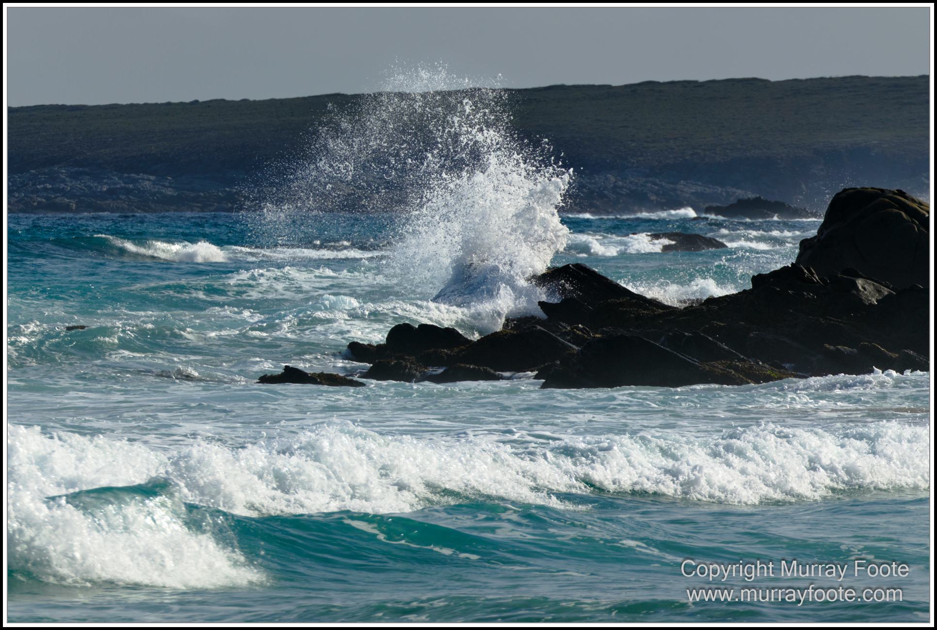 Cormorant, Eastern Great Egret, Hanson Bay, Kangaroo Island, Landscape, Nature, Photography, Rocky River, seascape, Snake Lagoon, South Australia, Travel, Wilderness, Wildlife