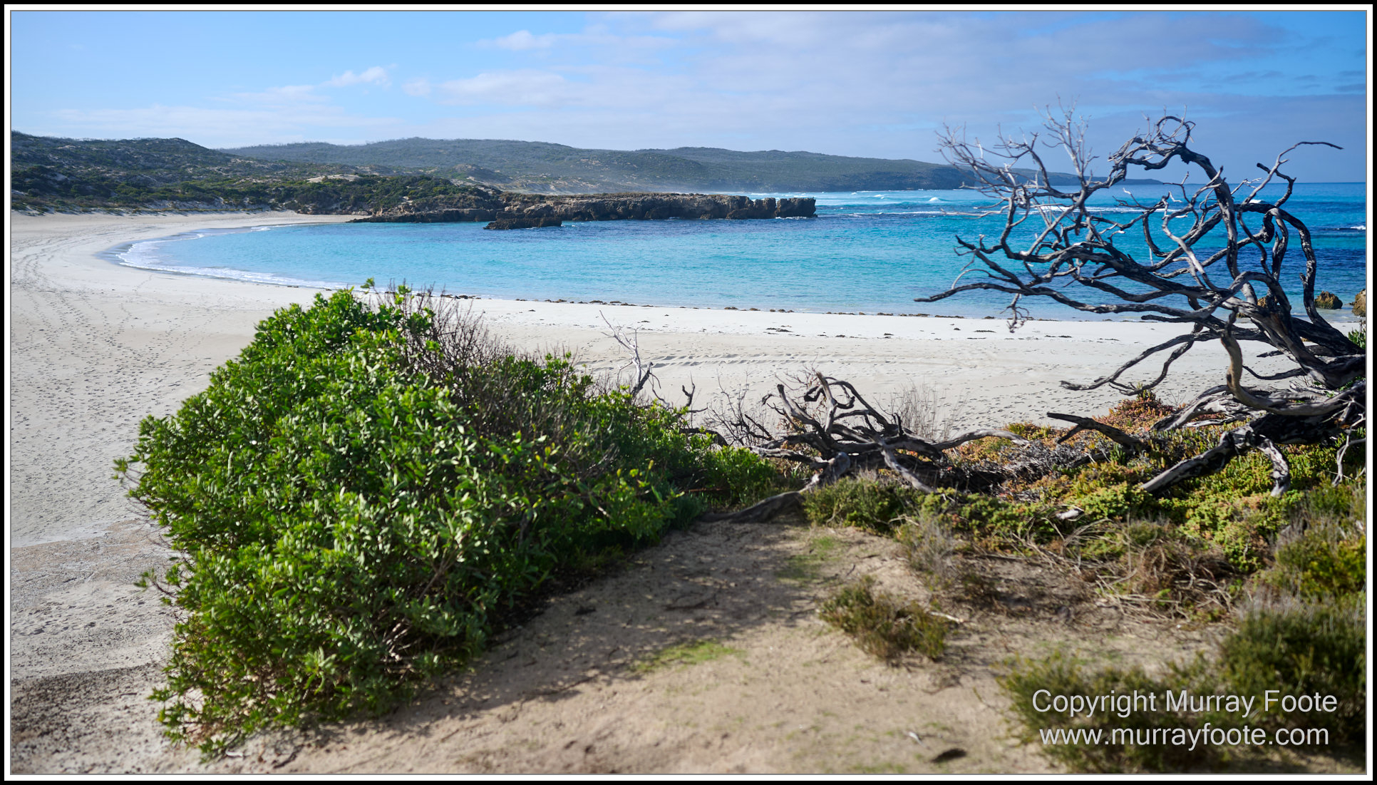 Cormorant, Eastern Great Egret, Hanson Bay, Kangaroo Island, Landscape, Nature, Photography, Rocky River, seascape, Snake Lagoon, South Australia, Travel, Wilderness, Wildlife