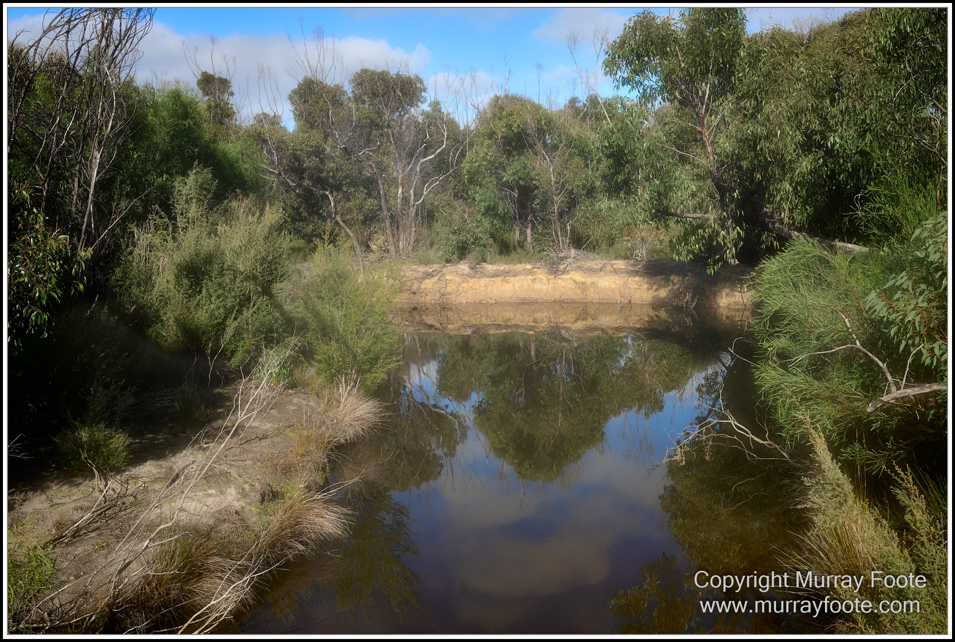 Cormorant, Eastern Great Egret, Hanson Bay, Kangaroo Island, Landscape, Nature, Photography, Rocky River, seascape, Snake Lagoon, South Australia, Travel, Wilderness, Wildlife