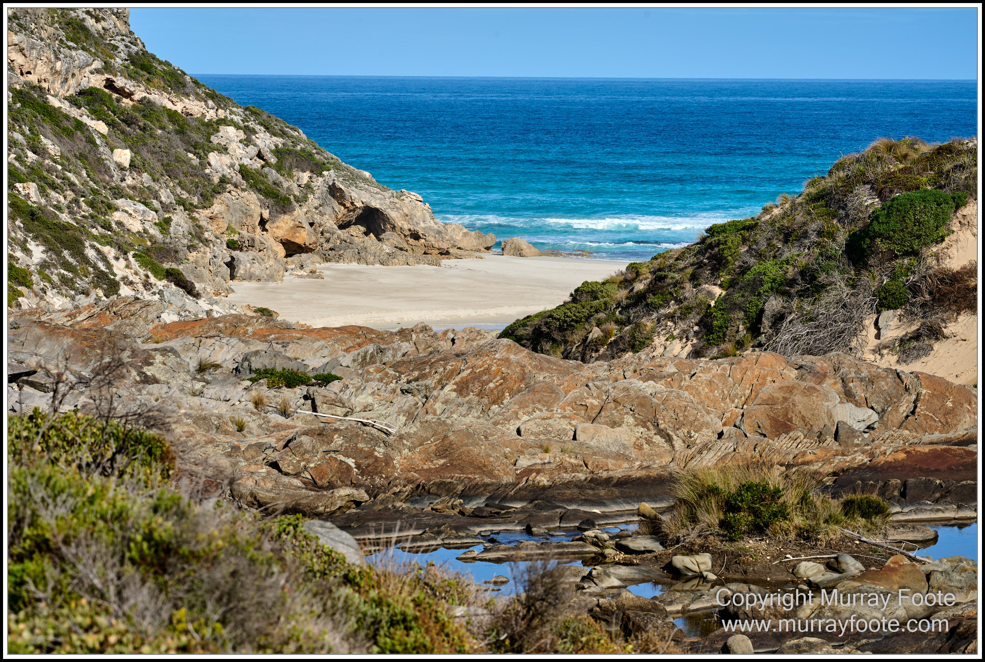 Cormorant, Eastern Great Egret, Hanson Bay, Kangaroo Island, Landscape, Nature, Photography, Rocky River, seascape, Snake Lagoon, South Australia, Travel, Wilderness, Wildlife