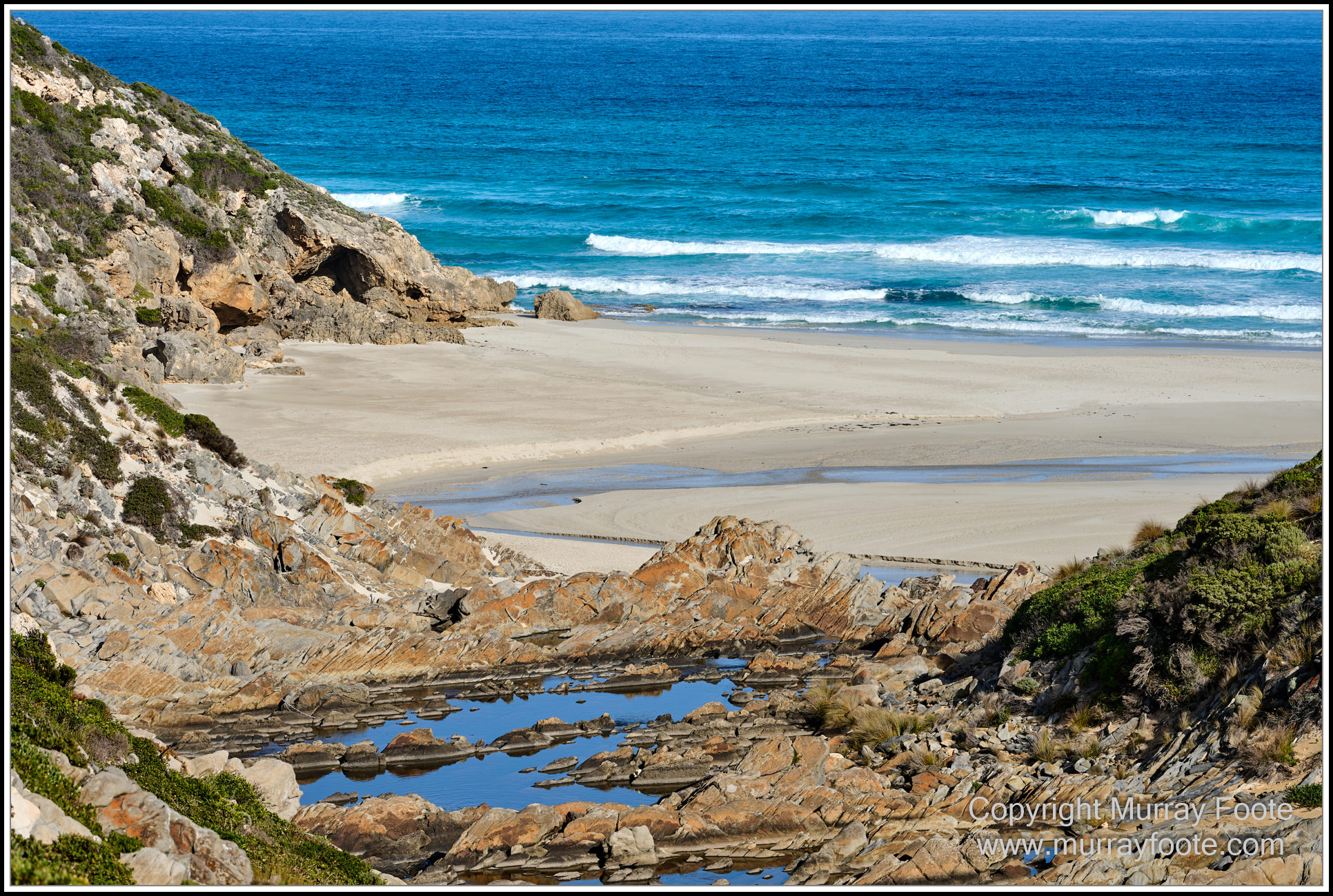 Cormorant, Eastern Great Egret, Hanson Bay, Kangaroo Island, Landscape, Nature, Photography, Rocky River, seascape, Snake Lagoon, South Australia, Travel, Wilderness, Wildlife