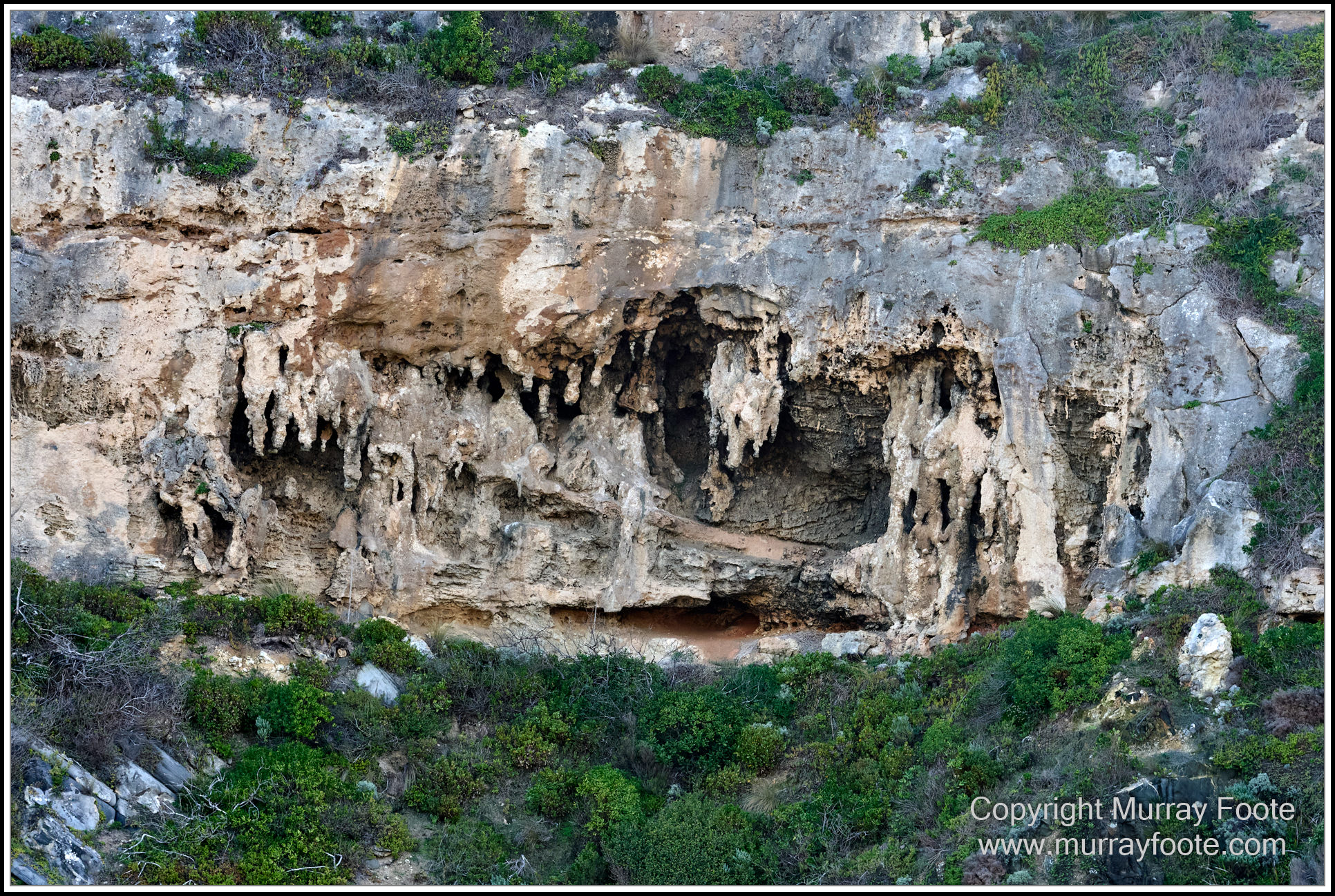 Cormorant, Eastern Great Egret, Hanson Bay, Kangaroo Island, Landscape, Nature, Photography, Rocky River, seascape, Snake Lagoon, South Australia, Travel, Wilderness, Wildlife
