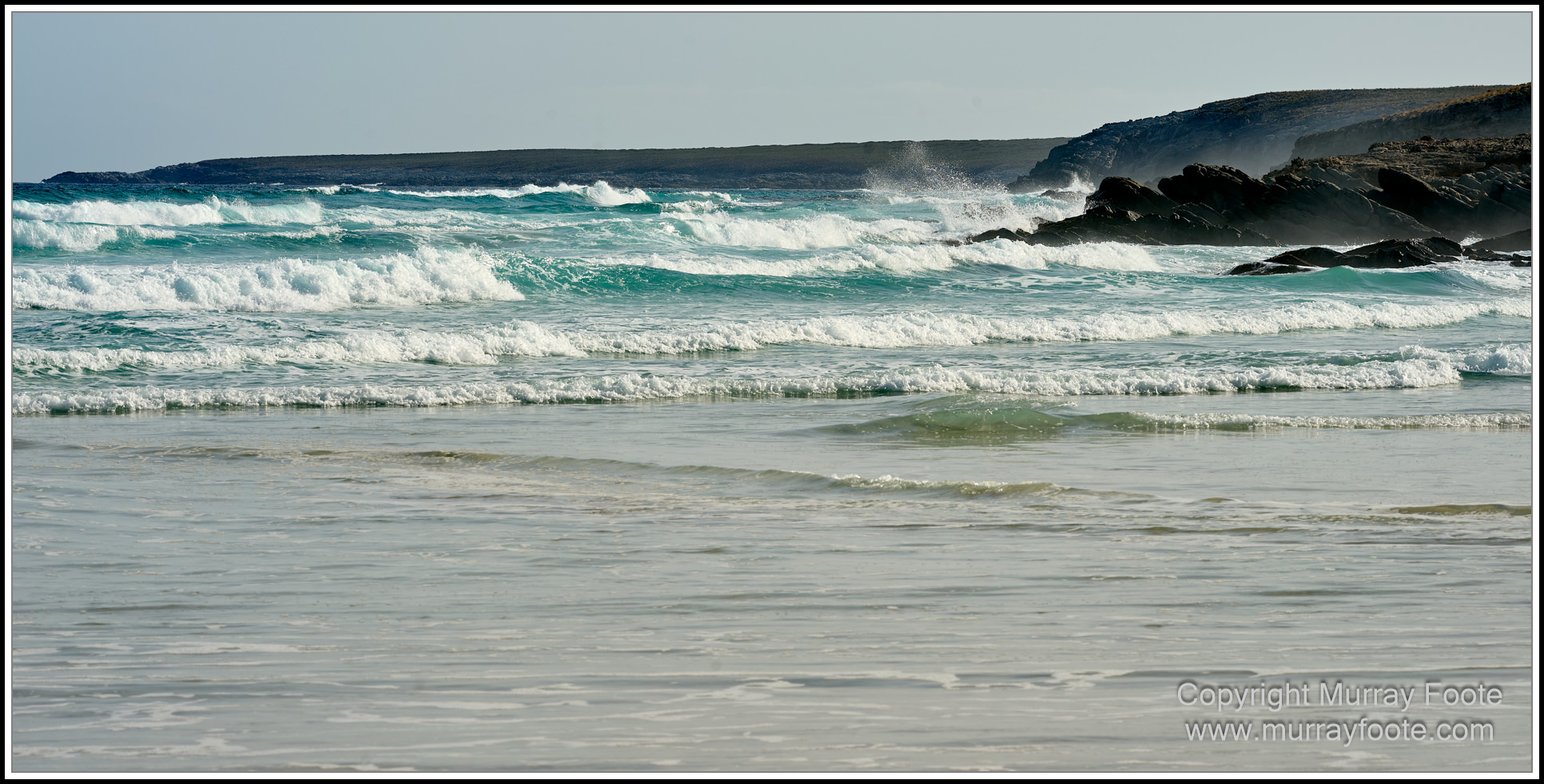 Cormorant, Eastern Great Egret, Hanson Bay, Kangaroo Island, Landscape, Nature, Photography, Rocky River, seascape, Snake Lagoon, South Australia, Travel, Wilderness, Wildlife