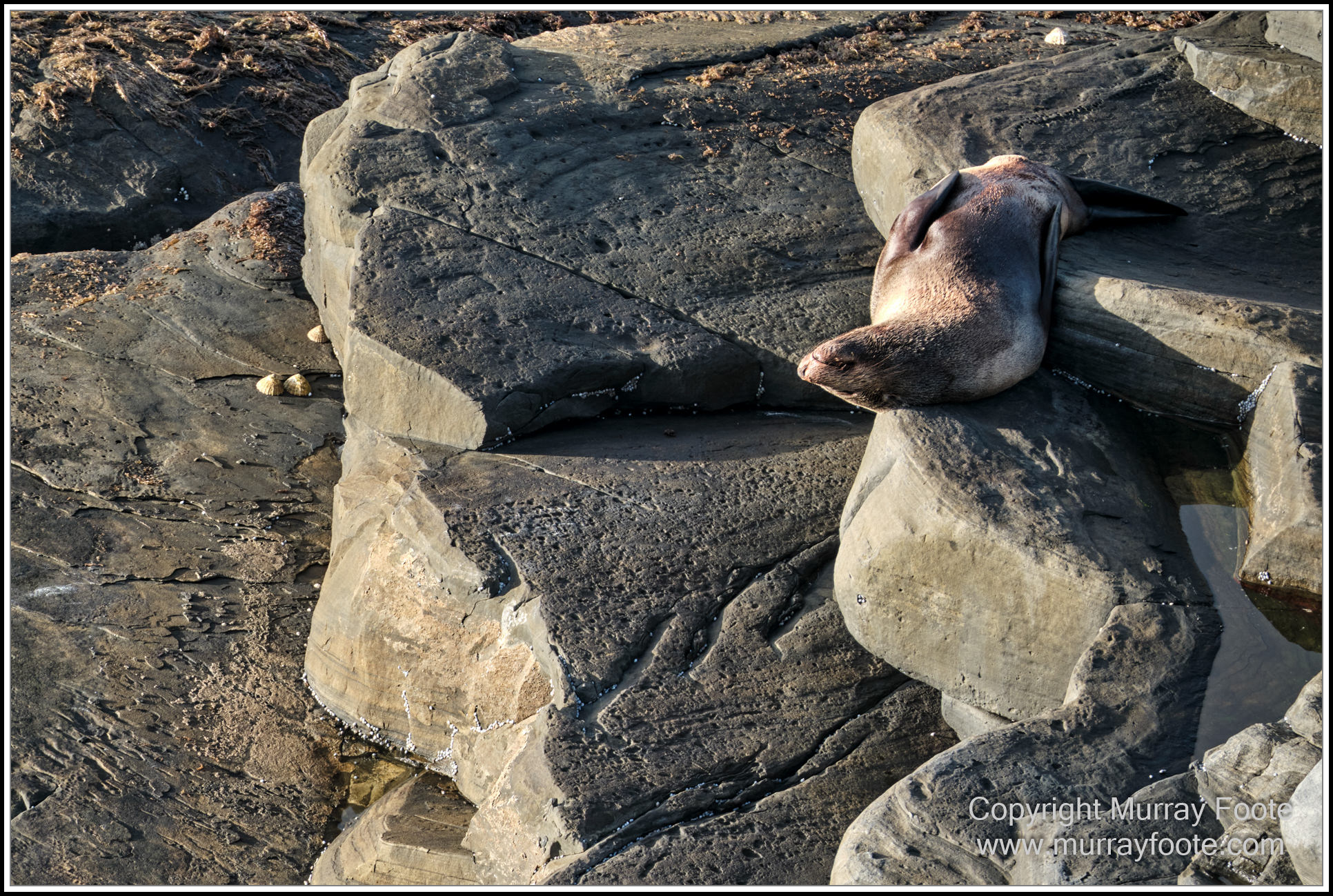 Kangaroo Island, Landscape, Nature, Photography, Remarkable Rocks, seascape, South Australia, Travel, Wilderness