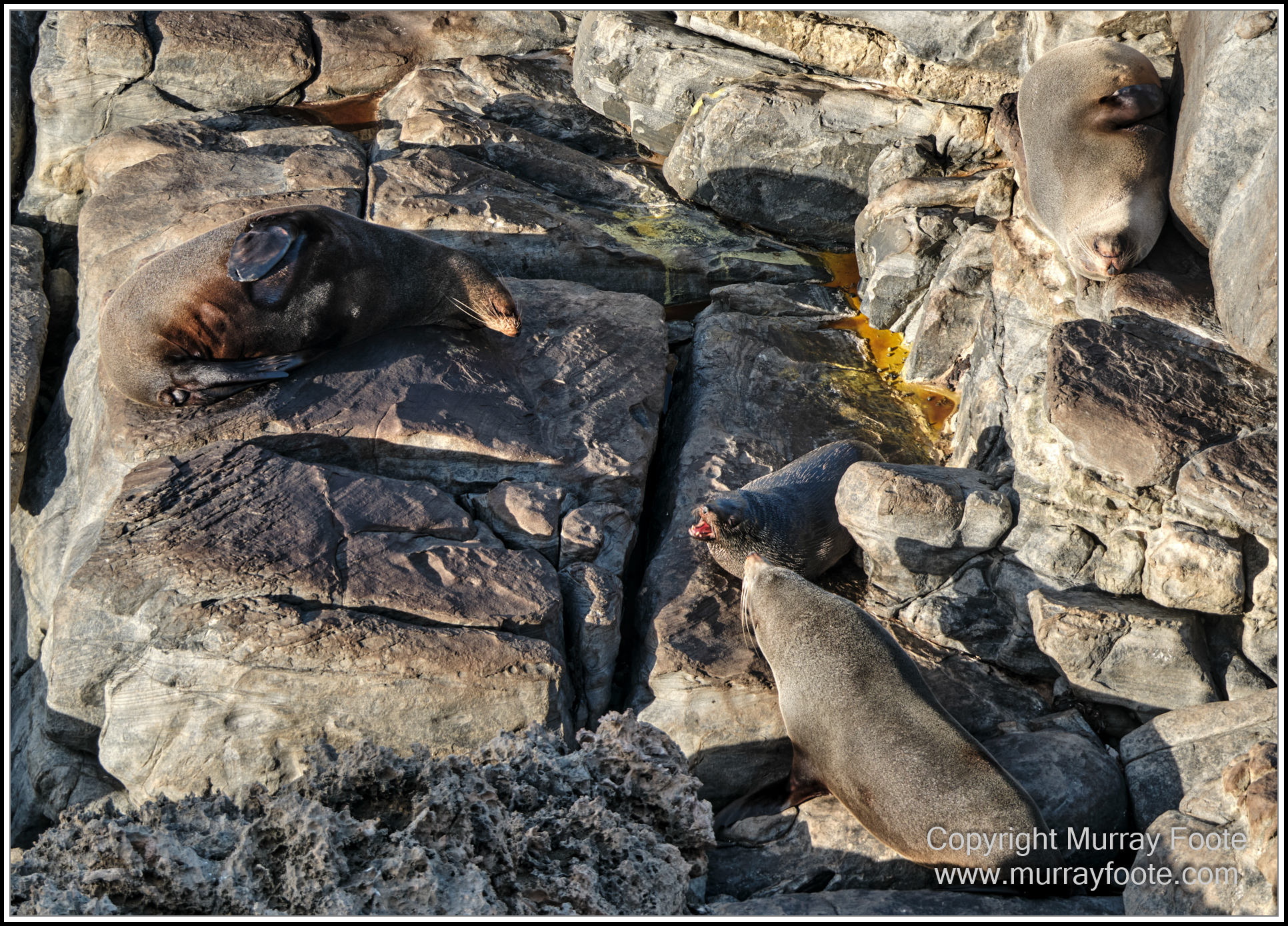 Kangaroo Island, Landscape, Nature, Photography, Remarkable Rocks, seascape, South Australia, Travel, Wilderness