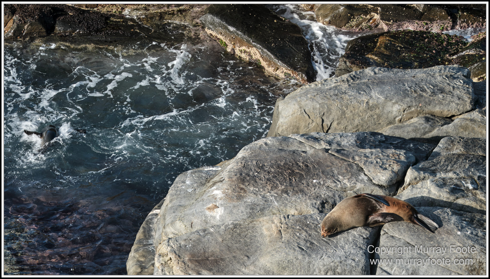 Kangaroo Island, Landscape, Nature, Photography, Remarkable Rocks, seascape, South Australia, Travel, Wilderness