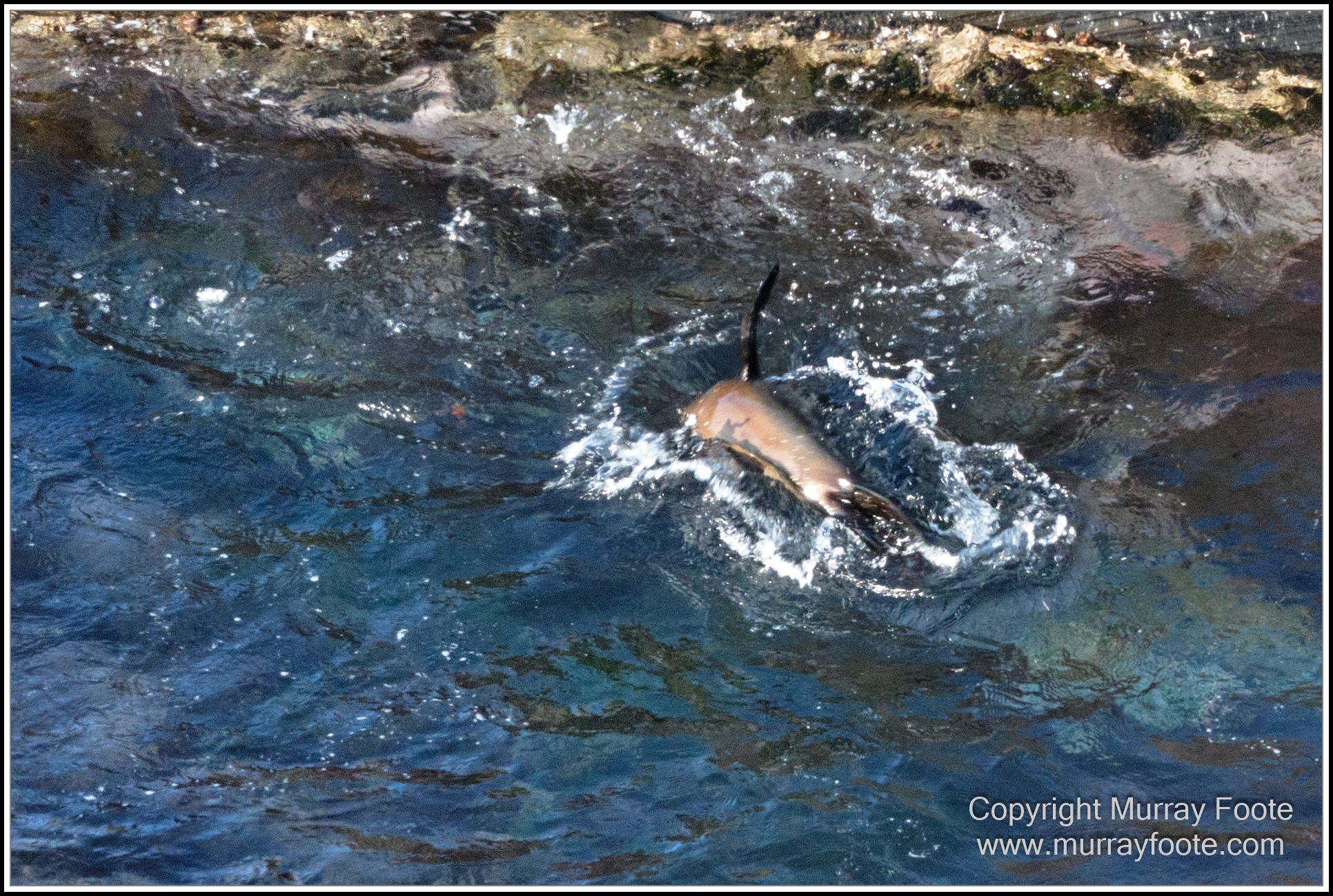 Kangaroo Island, Landscape, Nature, Photography, Remarkable Rocks, seascape, South Australia, Travel, Wilderness