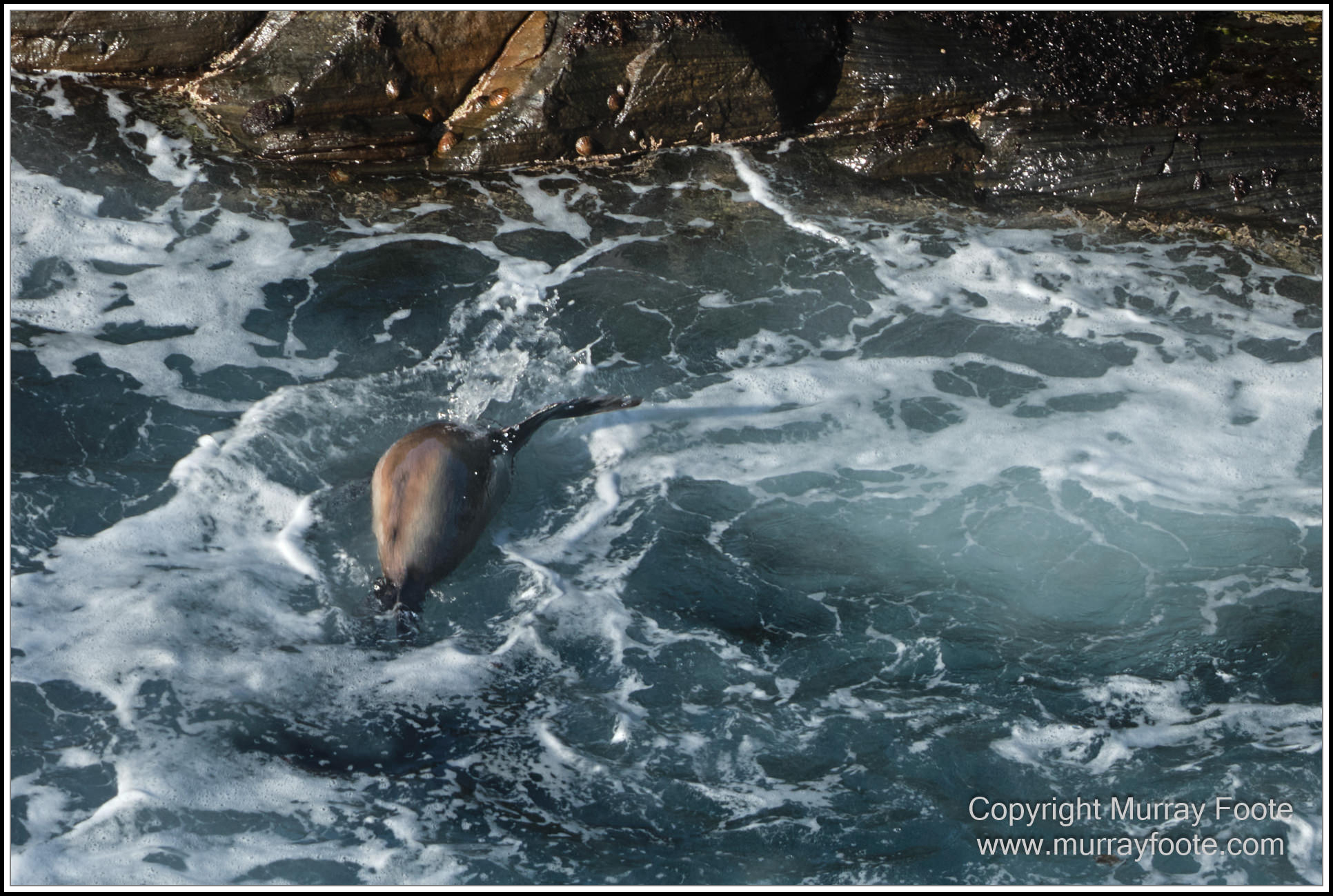 Kangaroo Island, Landscape, Nature, Photography, Remarkable Rocks, seascape, South Australia, Travel, Wilderness