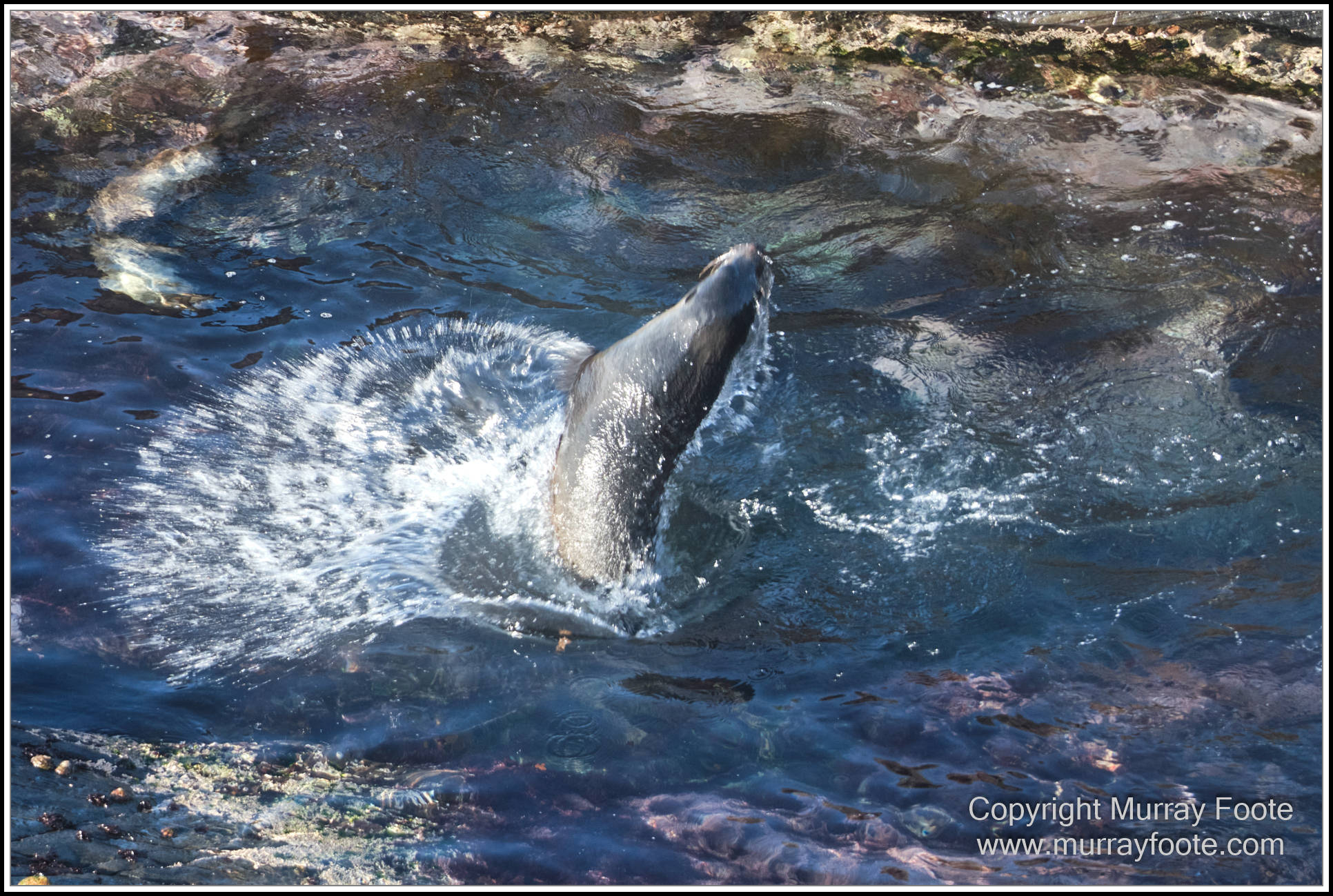 Kangaroo Island, Landscape, Nature, Photography, Remarkable Rocks, seascape, South Australia, Travel, Wilderness