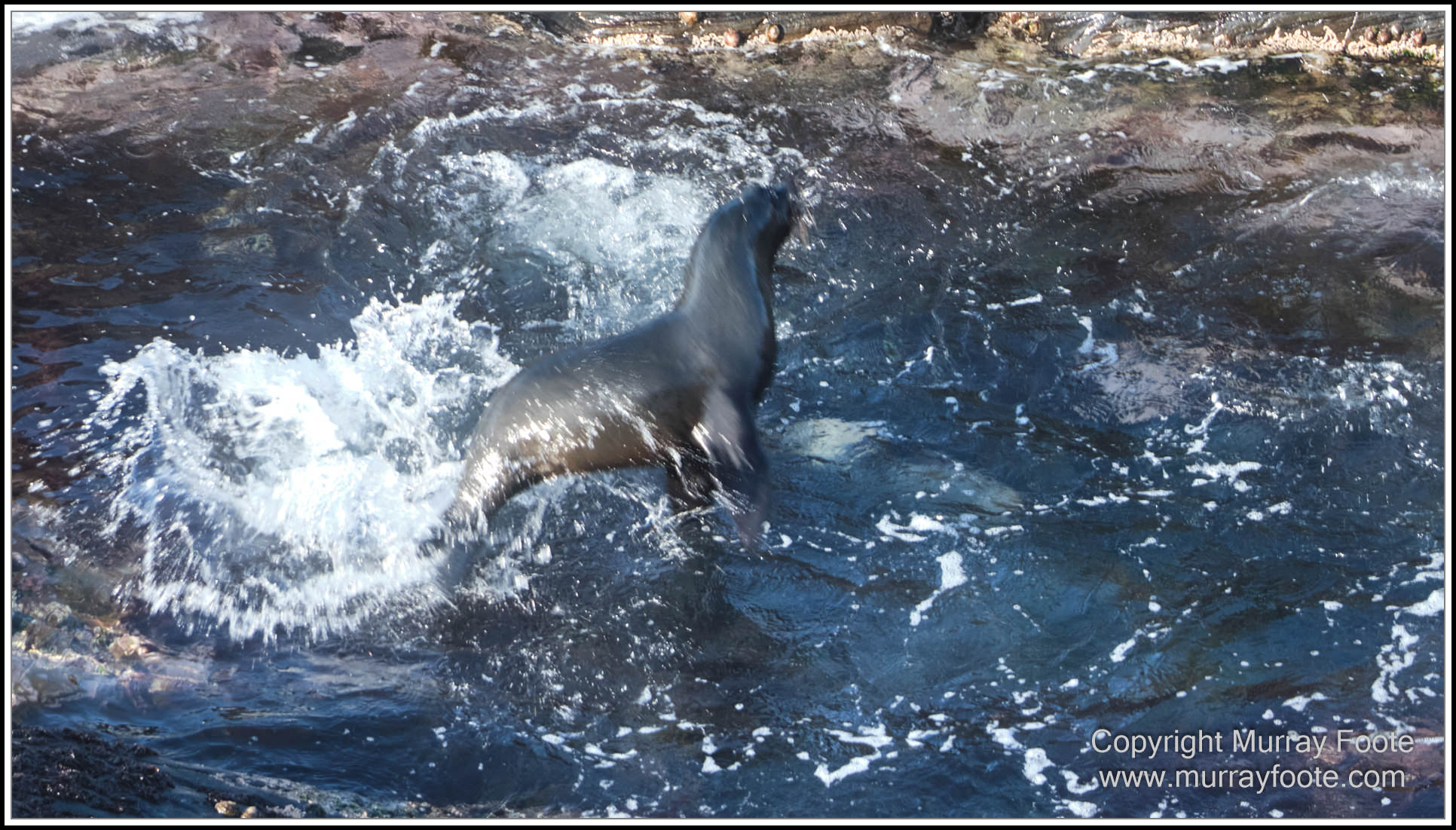 Kangaroo Island, Landscape, Nature, Photography, Remarkable Rocks, seascape, South Australia, Travel, Wilderness