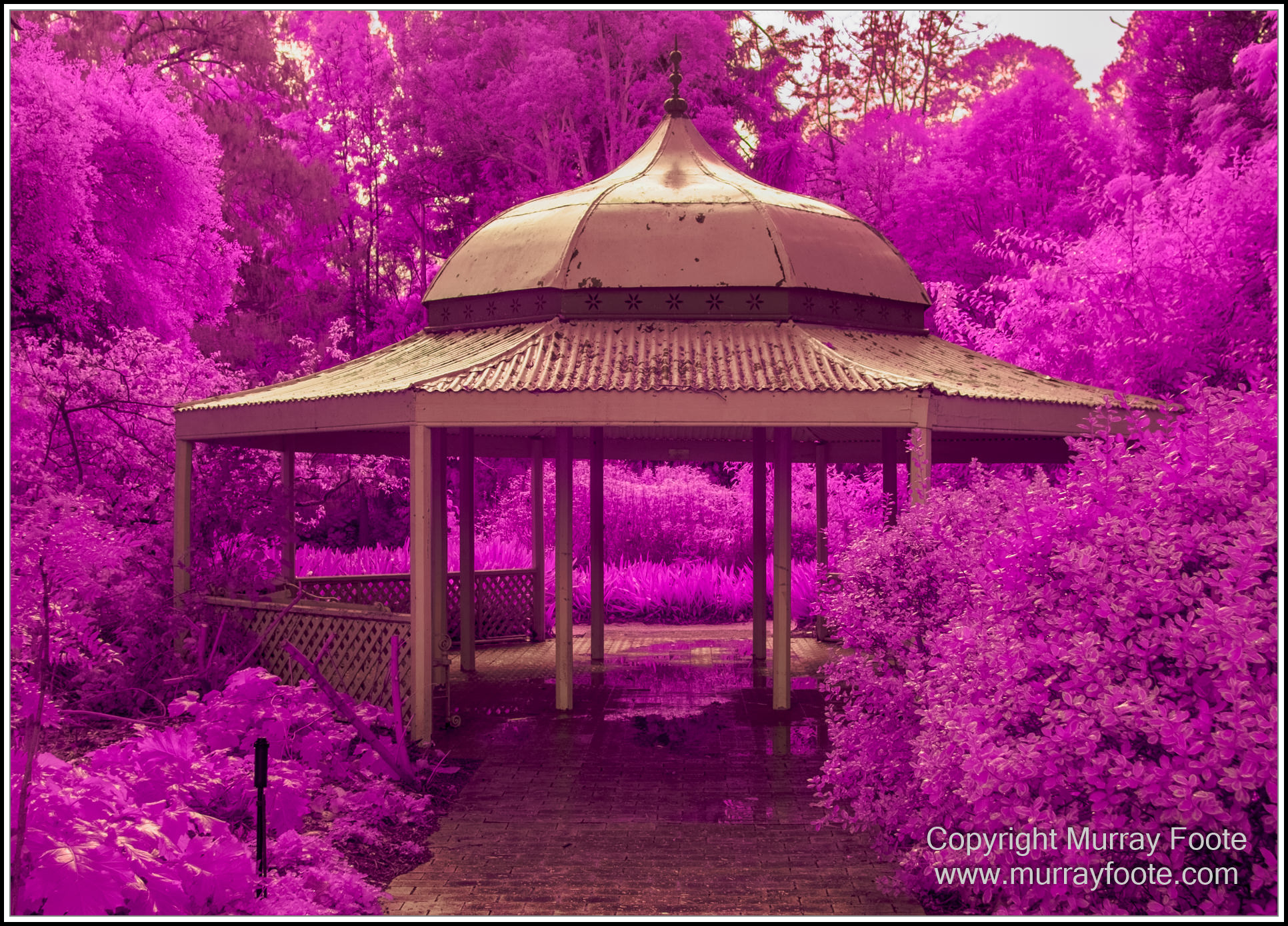 Adelaide, Adelaide Botanic Garden, Architecture, Infrared, Landscape, Mount Lofty Botanic Garden, Nature, Photography, Travel