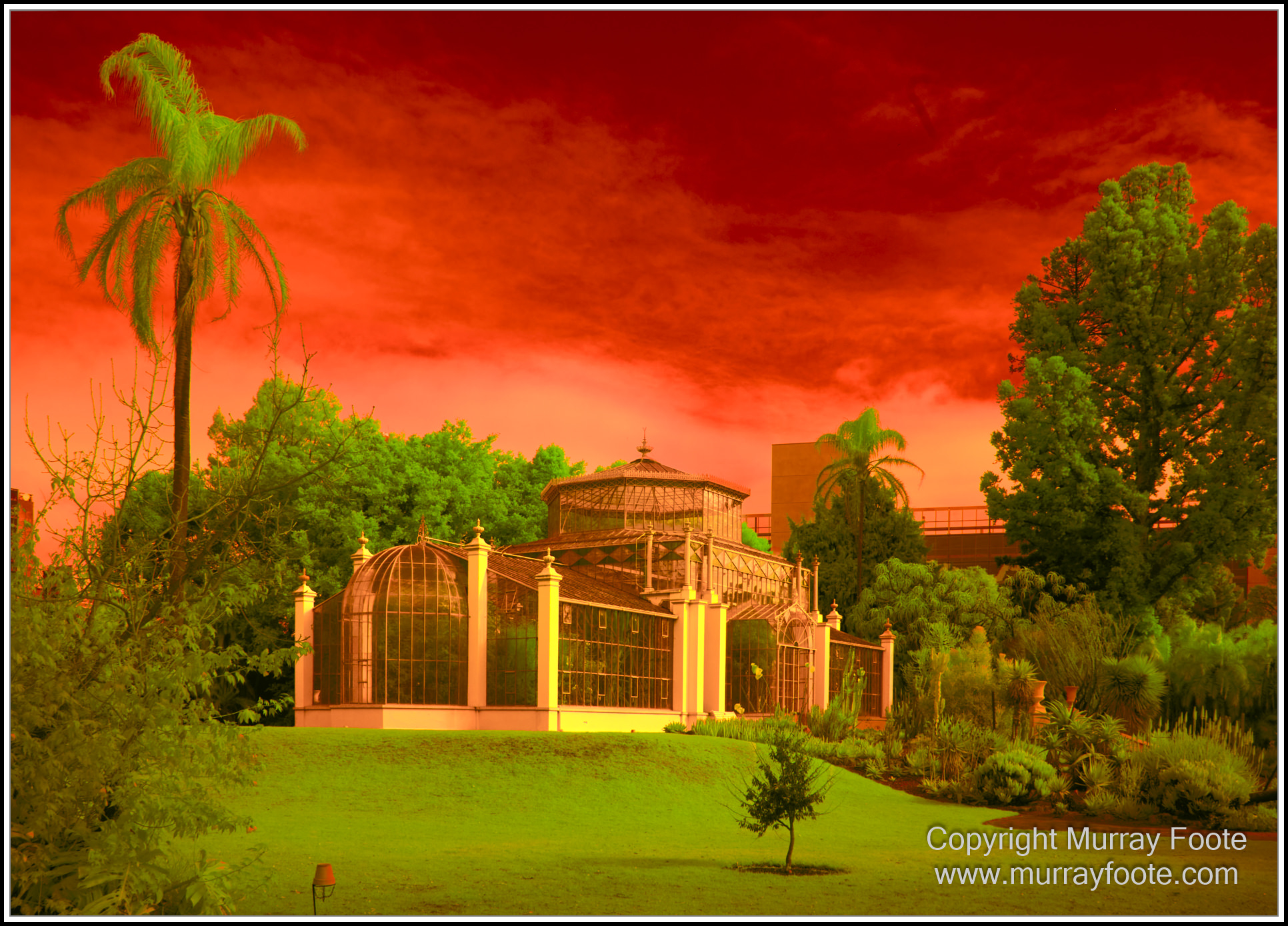 Adelaide, Adelaide Botanic Garden, Architecture, Infrared, Landscape, Mount Lofty Botanic Garden, Nature, Photography, Travel