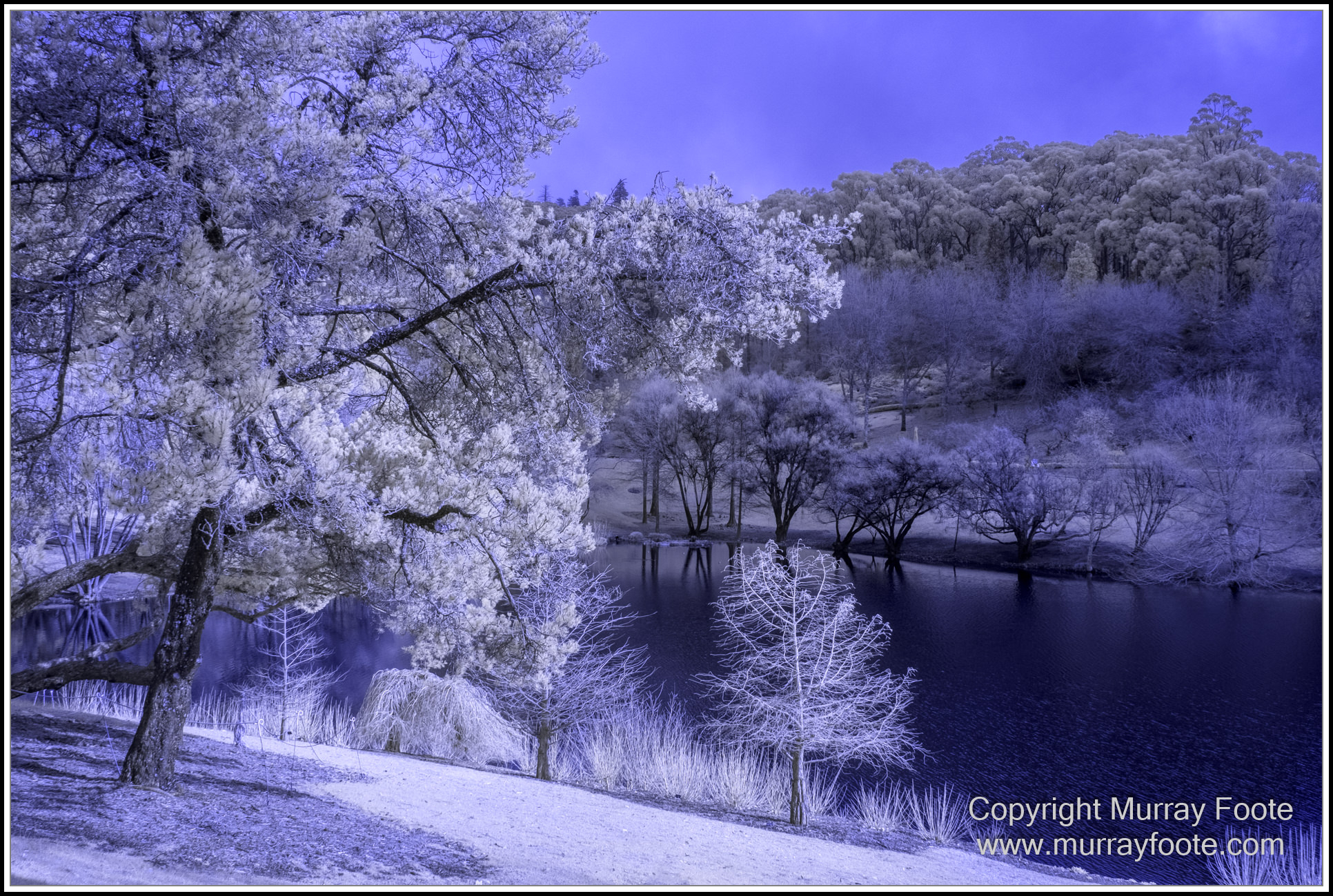 Adelaide, Adelaide Botanic Garden, Architecture, Infrared, Landscape, Mount Lofty Botanic Garden, Nature, Photography, Travel