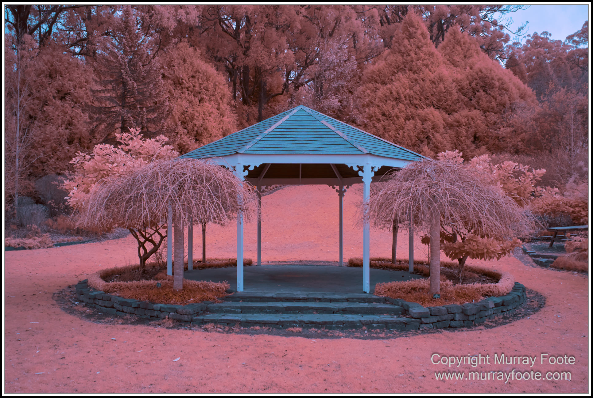 Adelaide, Adelaide Botanic Garden, Architecture, Infrared, Landscape, Mount Lofty Botanic Garden, Nature, Photography, Travel