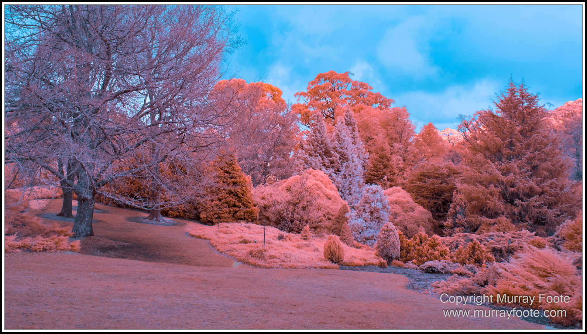 Adelaide, Adelaide Botanic Garden, Architecture, Infrared, Landscape, Mount Lofty Botanic Garden, Nature, Photography, Travel