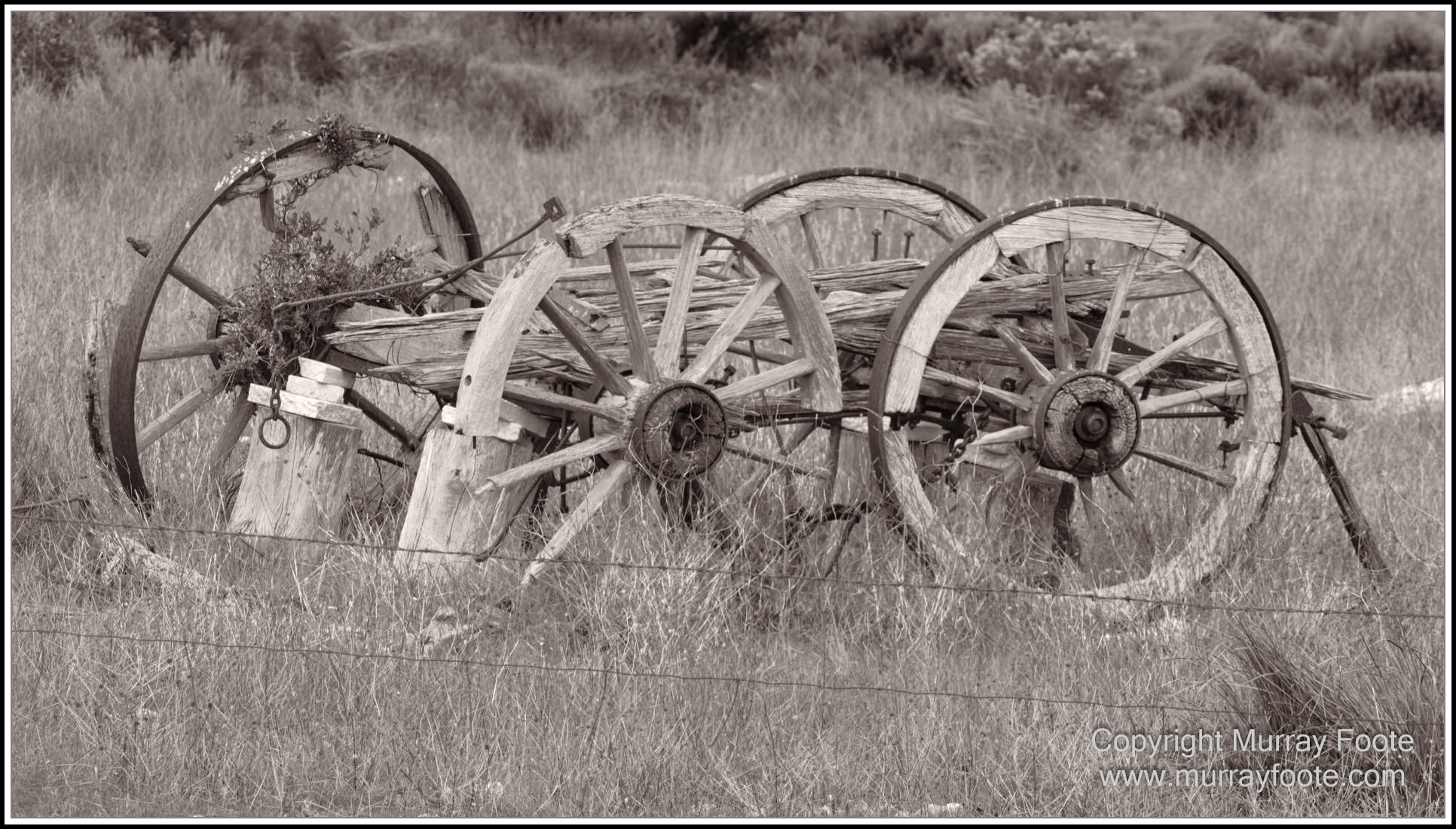 Architecture, Black and White, History, Infrared, Landscape, Lighthouses, Monochrome, Nature, Photography, seascape, South Australia, Travel, Wildlife, Yorke Peninsula