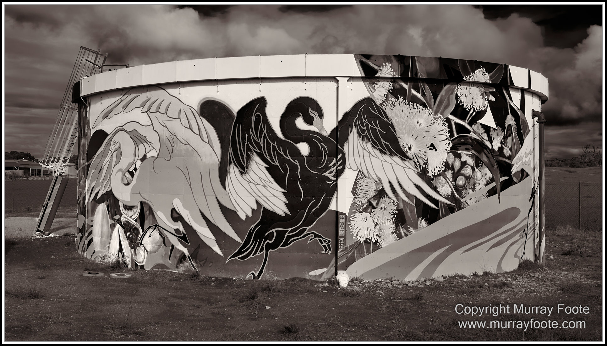 Architecture, Black and White, History, Infrared, Landscape, Lighthouses, Monochrome, Nature, Photography, seascape, South Australia, Travel, Wildlife, Yorke Peninsula