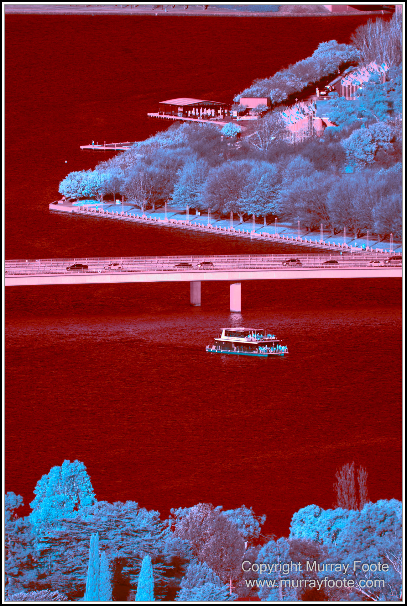 Australian National Botanic Gardens, Birds, Canberra, Fujifilm 500mm f5.6, Jerrabomberra Wetlands, Landscape, Nature, Photography, Topaz Photo AI, Travel, Wildlife