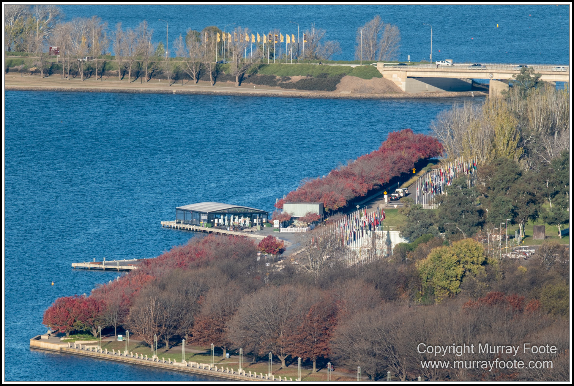 Australian National Botanic Gardens, Birds, Canberra, Fujifilm 500mm f5.6, Jerrabomberra Wetlands, Landscape, Nature, Photography, Topaz Photo AI, Travel, Wildlife