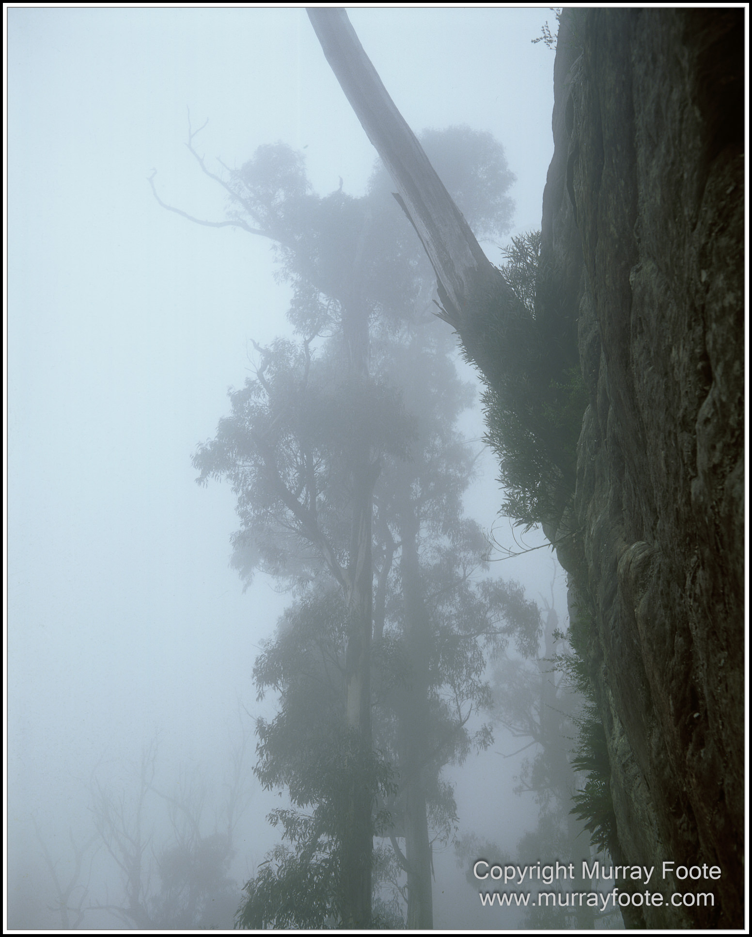 Architecture, cameras, film, Fujifilm GFX100RF, History, Infrared, Landscape, Lighthouses, Panorama, Photography, Street photography, Travel